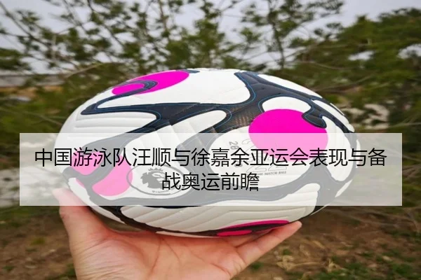 中国游泳队汪顺与徐嘉余亚运会表现与备战奥运前瞻